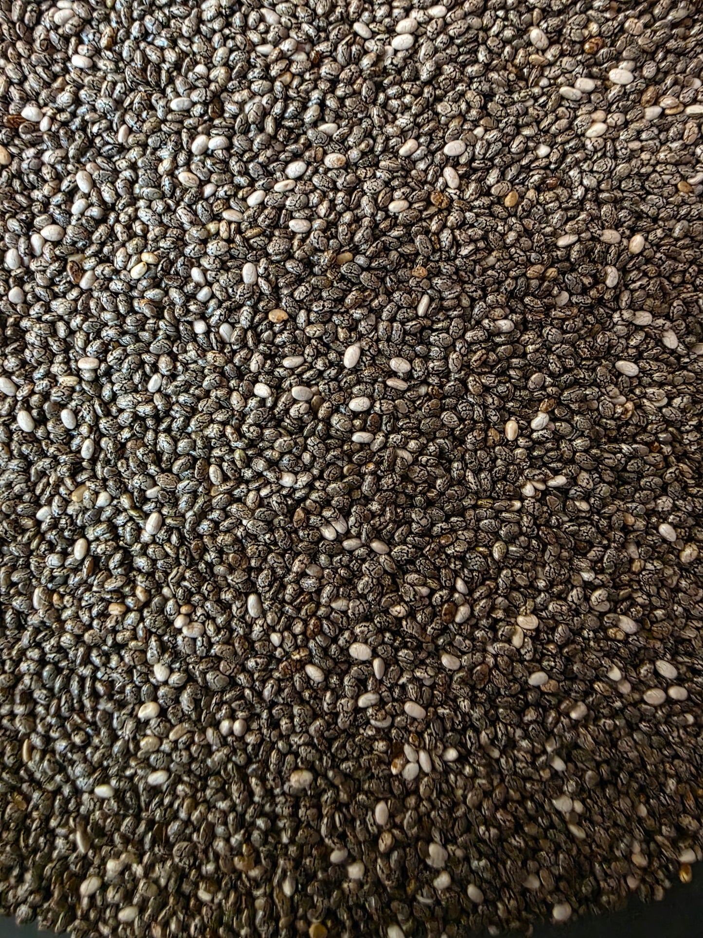 GRAINES DE CHIA