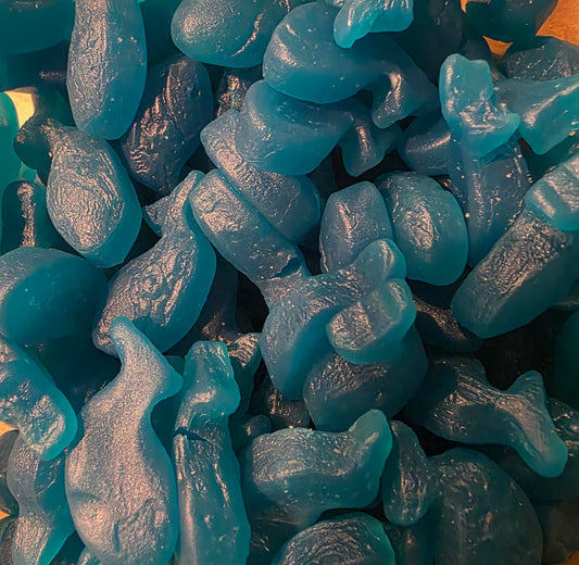 BALEINES BLEUES