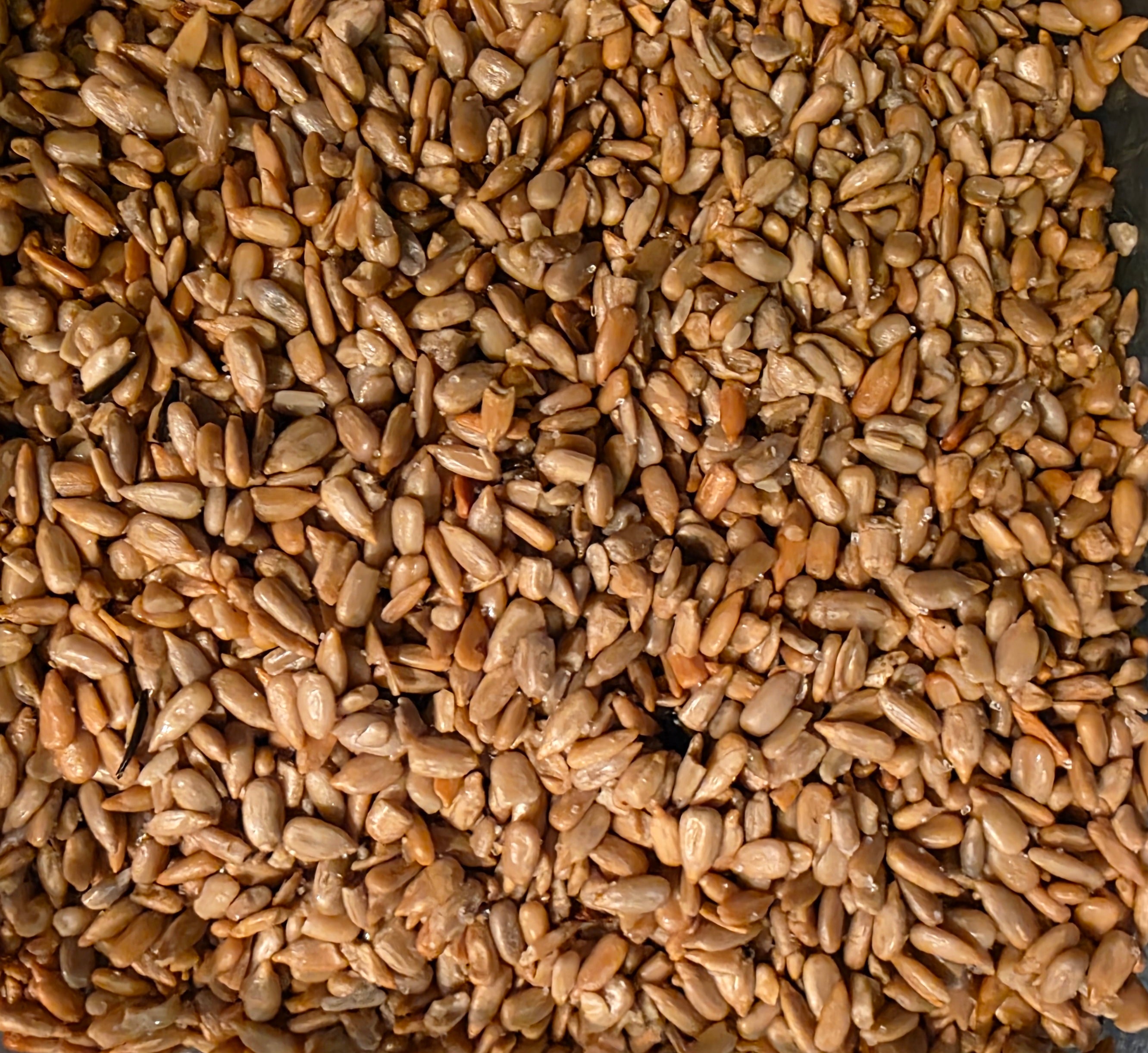 GRAINES DE TOURNESOL ROTIES SALÉES
