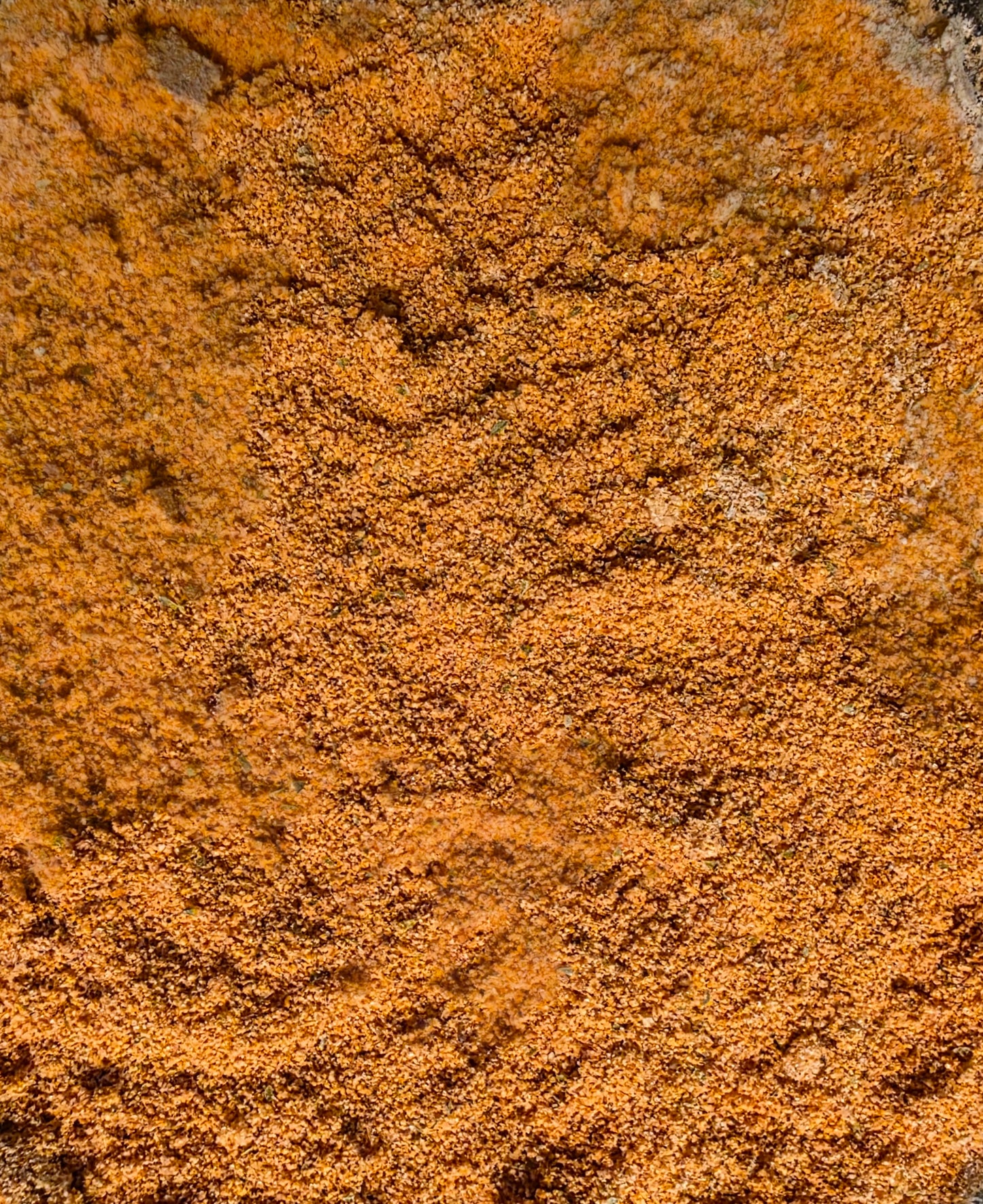 ASSAISONNEMENT HABANERO