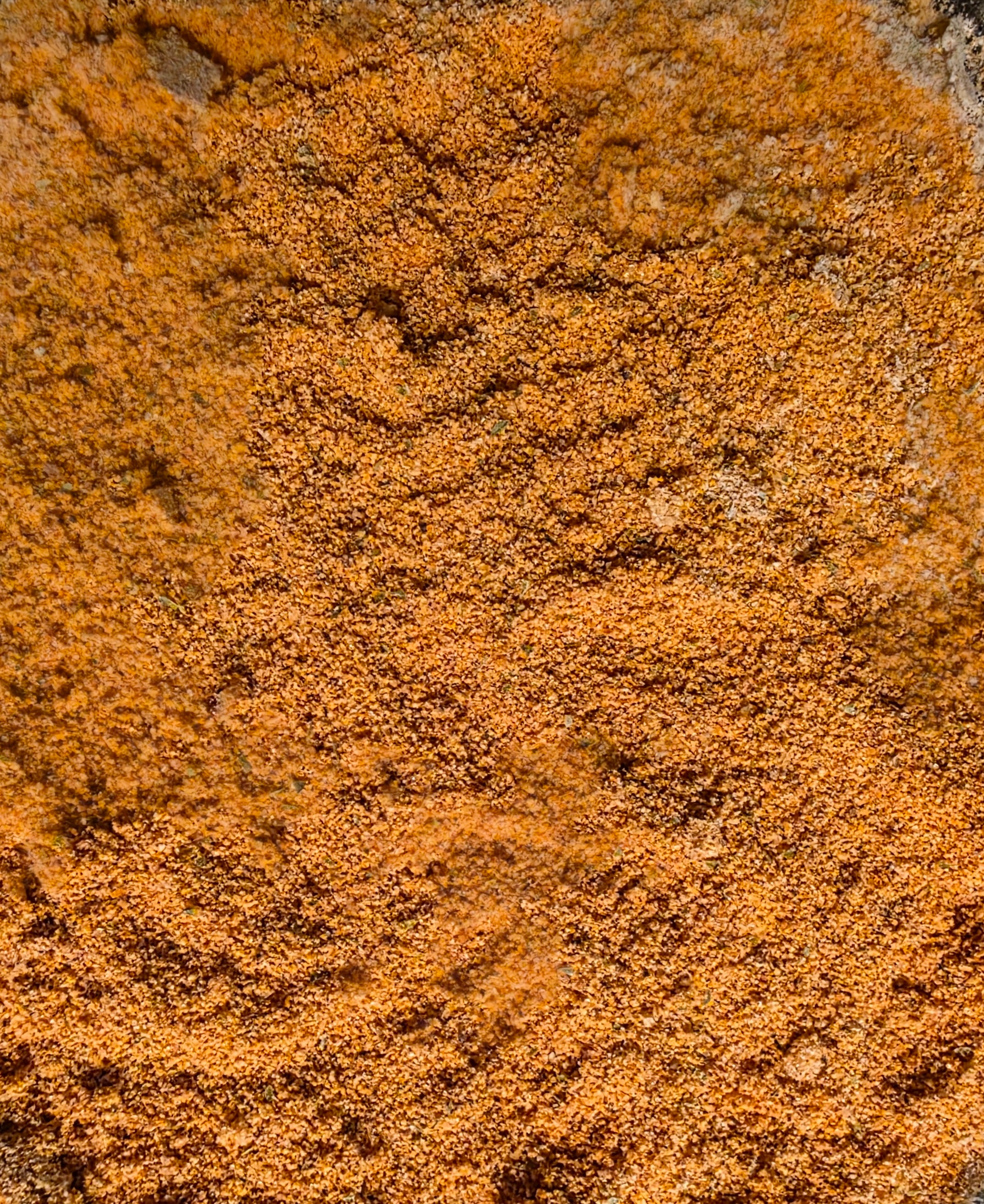 ASSAISONNEMENT HABANERO