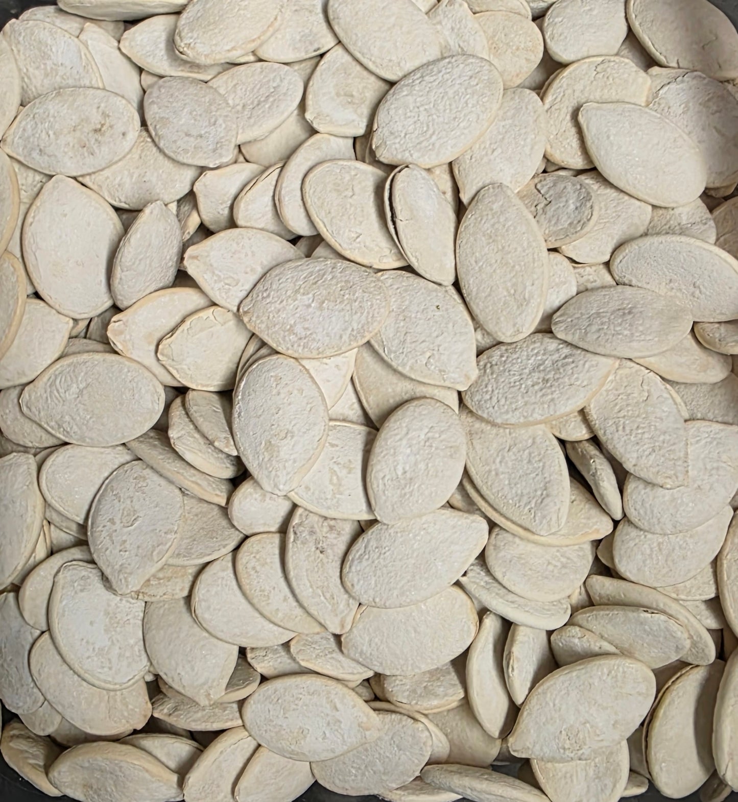 GRAINES DE CITROUILLE ÉCALES SALÉE