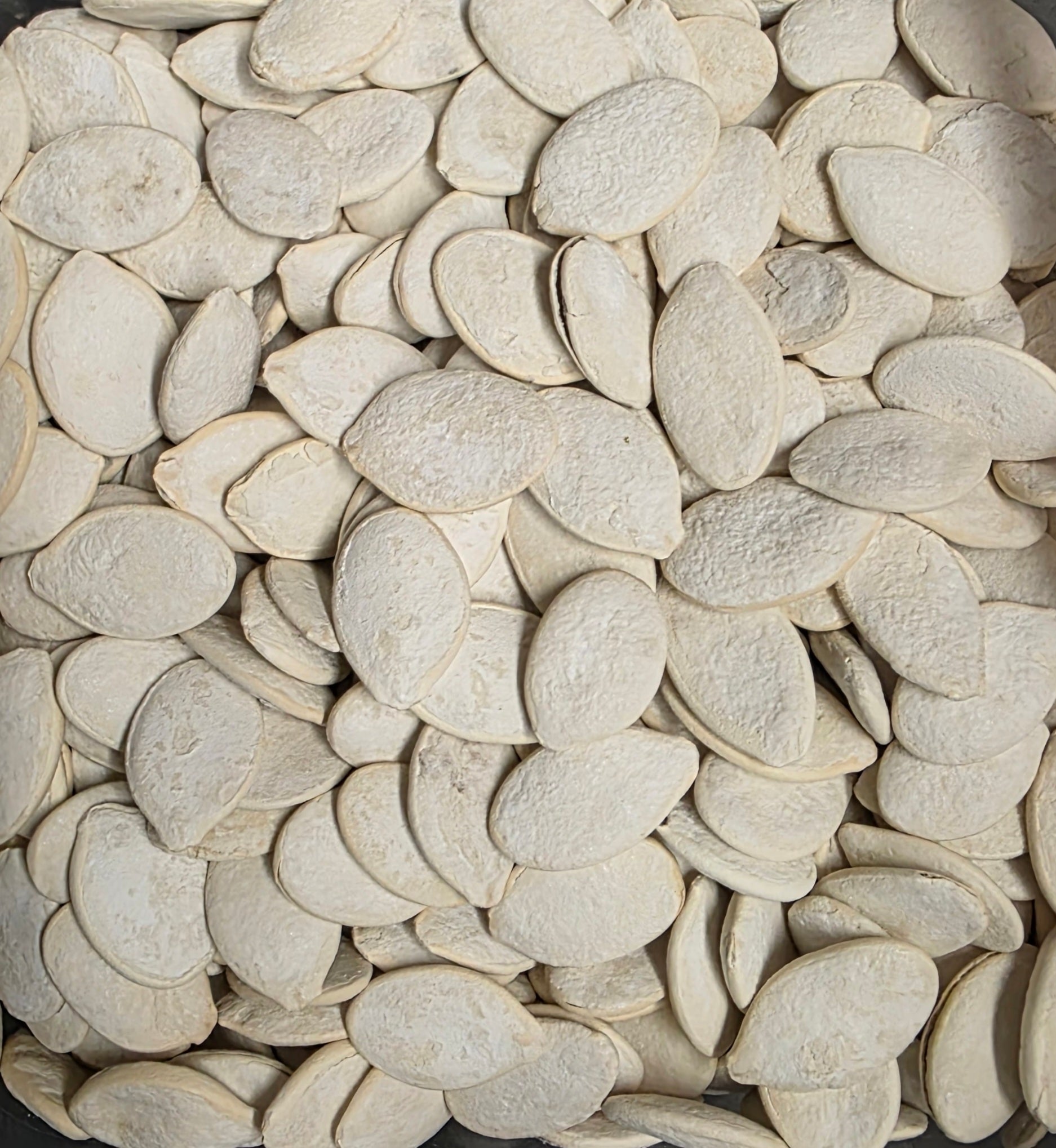 GRAINES DE CITROUILLE ÉCALES SALÉE