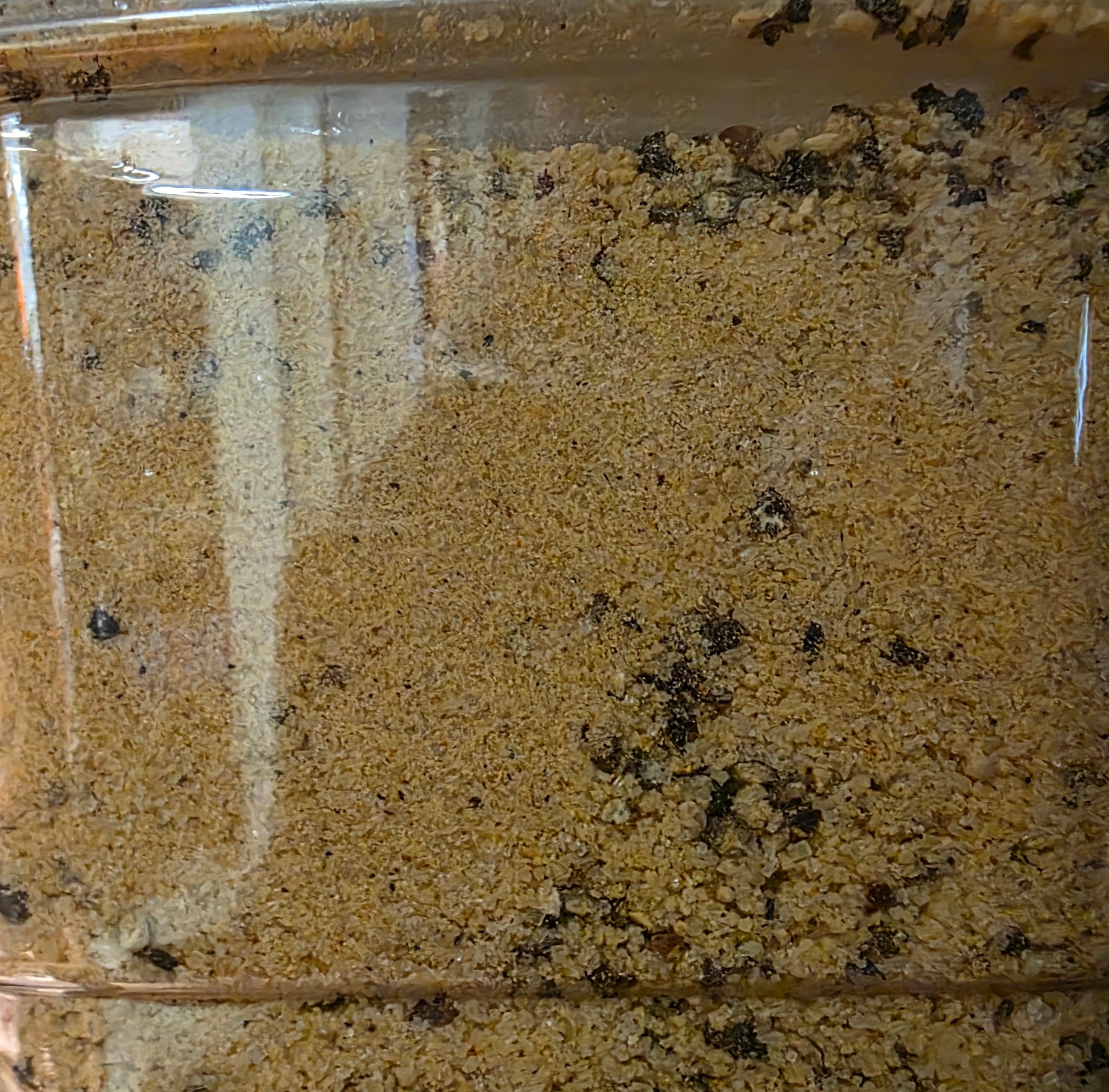 MARINADE ERABLE, POIVRE ET CHIPOTLE