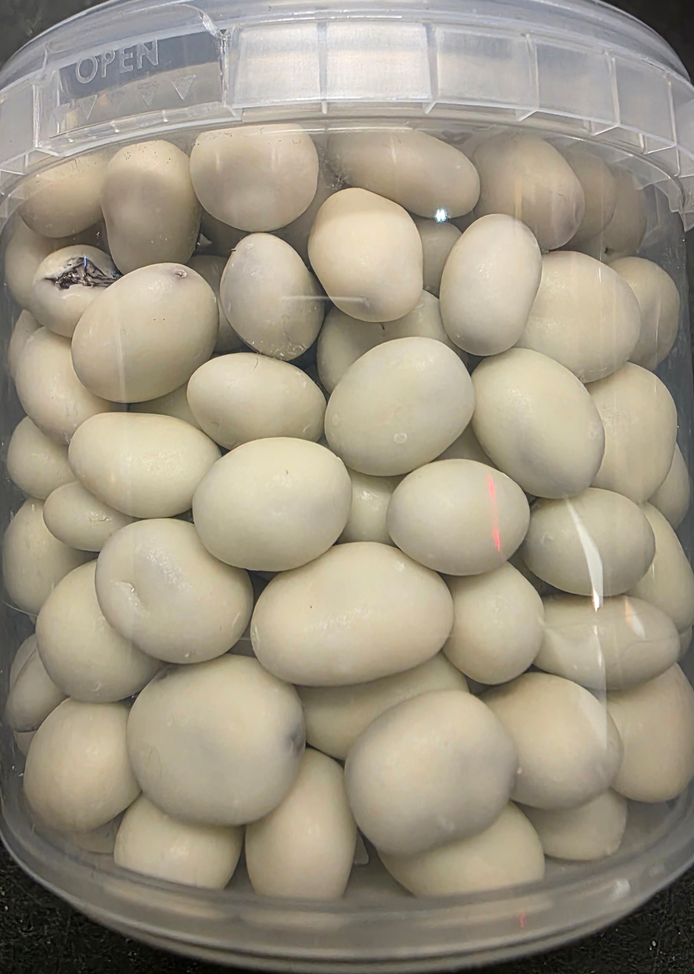 ARACHIDES YOGOURT