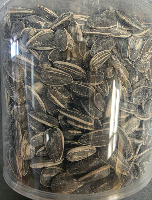 GRAINES DE TOURNESOL EN ÉCALES SALÉES