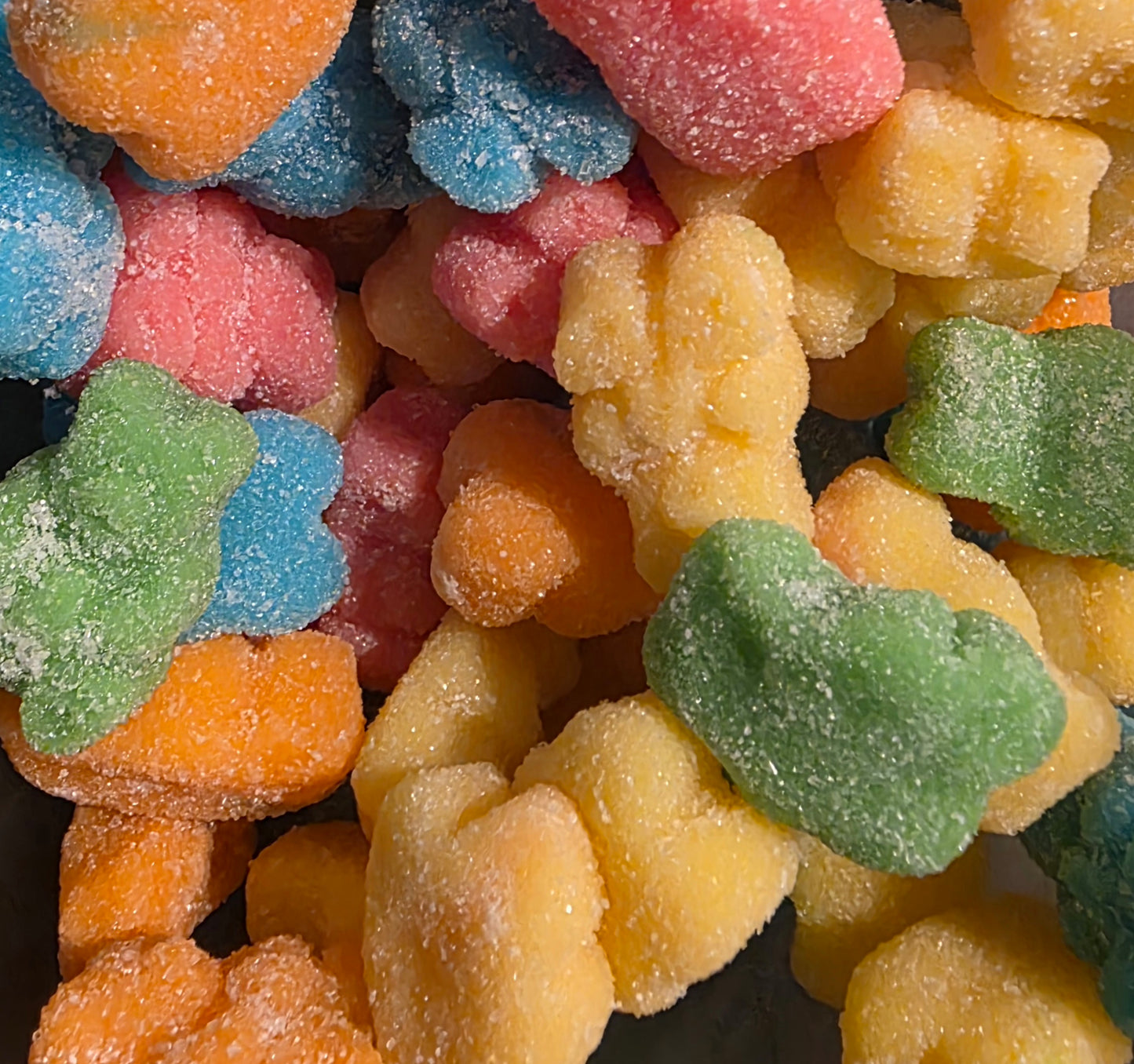 OURSONS NÉONS SUCRÉ