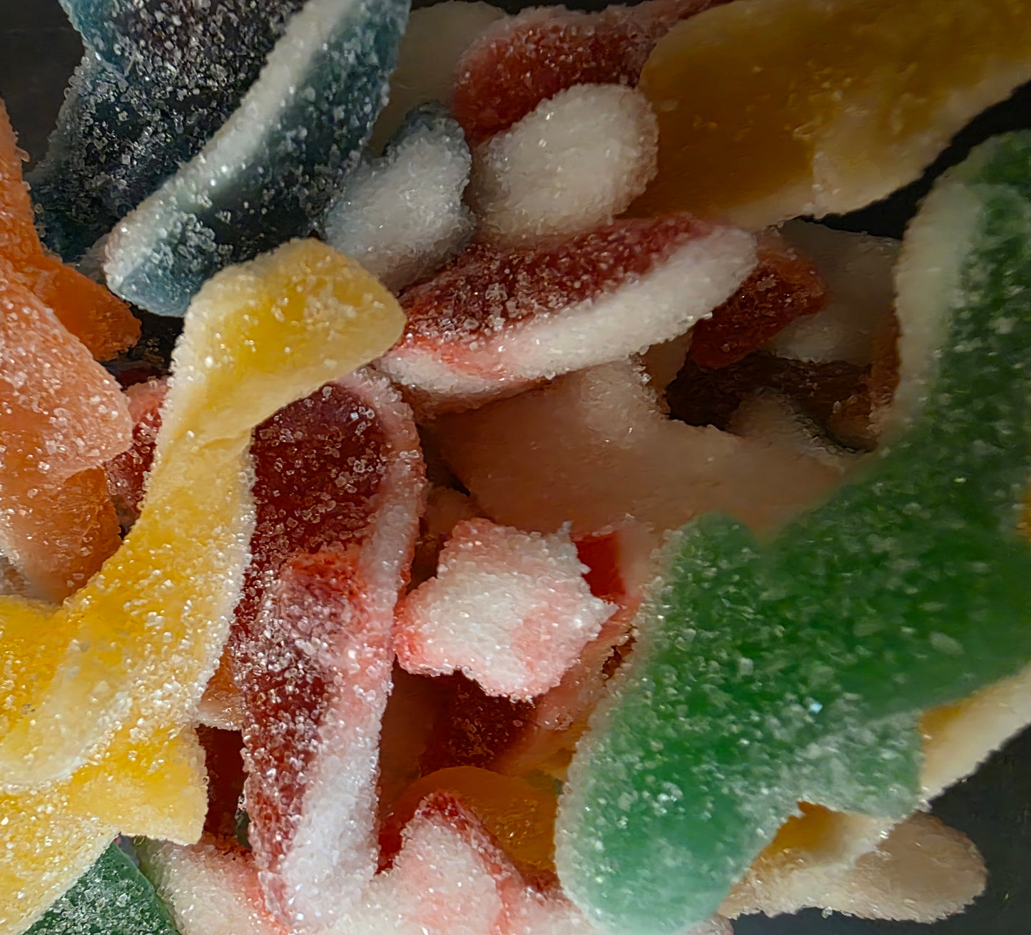 REQUIN SUR ASSORTIES